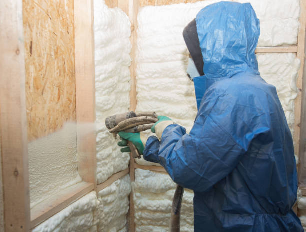 Best Insulation Replacement  in Stanley, VA